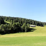 Schelpenalp Hotel *