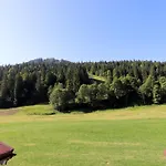 Schelpenalp
