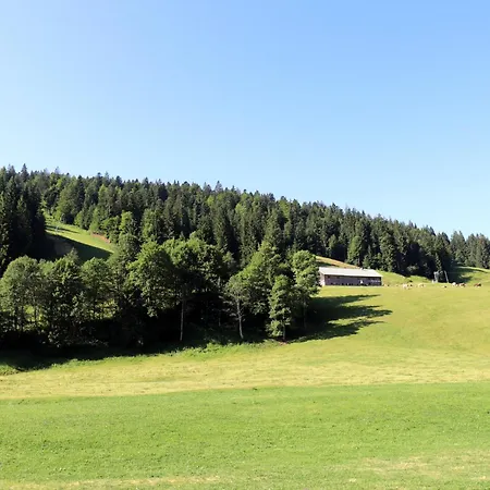 Schelpenalp Hotel *