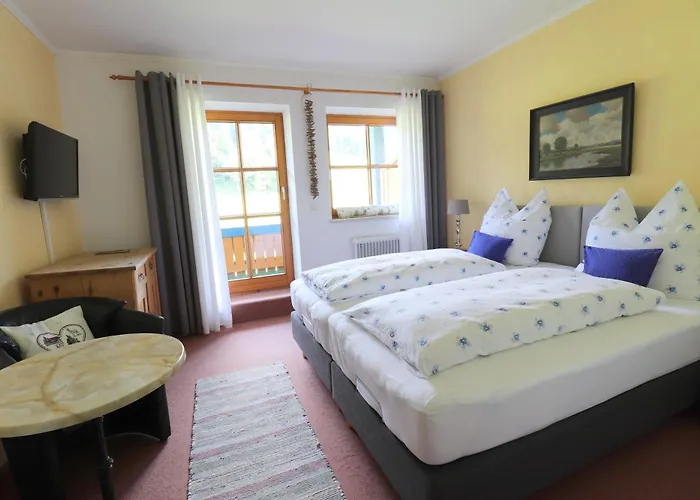 Hotel Schelpenalp *