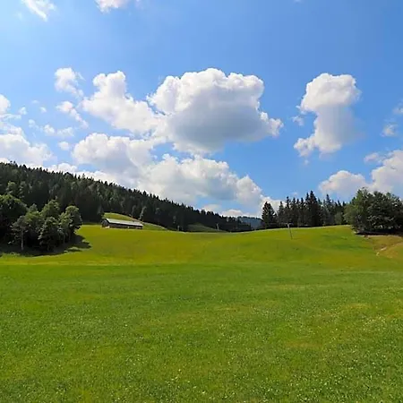 Hotel Schelpenalp